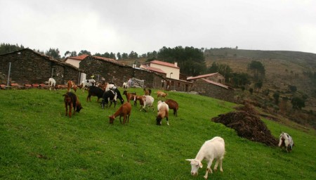 Aldeias do Xisto - Aigra Nova
